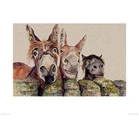 Jane Bannon (Johnny, Freckles & Halfpint 60 x 80cm Art Print