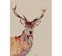 Jane Bannon (Montgomery 30 x 40cm Canvas