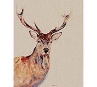 Jane Bannon (Montgomery 40 x 50cm Canvas