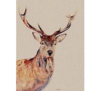 Jane Bannon (Montgomery 60 x 80cm Canvas