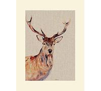 Jane Bannon Mounted Prints, Multi-Colour, 30 x 40 cm
