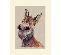 Jane Bannon Mounted Prints, Multi-Colour, 30 x 40 cm