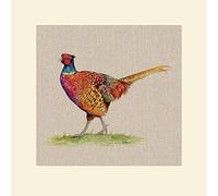 Jane Bannon Mounted Prints, Multi-Colour, 40 x 40 cm