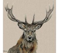 Jane Bannon Percival Canvas Print Beige/brown (60.5Cm X 4Cm X 60.5Cm)