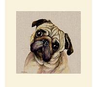 Jane Bannon (Pringle 40 x 40cm Mounted Print