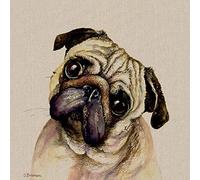 Jane Bannon (Pringle 60 x 60cm Canvas