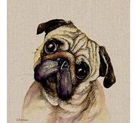 Jane Bannon Pringle Canvas, Multi-Colour, 30 x 30 cm