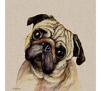 Jane Bannon Pringle Canvas Print, Multi-Colour, 40 x 40 cm