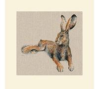 Jane Bannon (Sacha 40 x 40cm Mounted Print