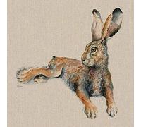 Jane Bannon Sacha Canvas Print, Multi-Colour, 40 x 40 cm