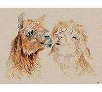 Jane Bannon (Sweet Nothings 60 x 80cm Canvas