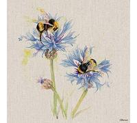 Jane Bannon WDC91687 Canvas Print 30 x 30 cm (Bees on Cornflowers), Multi-Colour, 30 x 30 cm