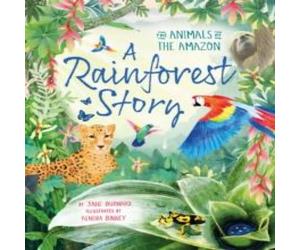 Jane Burnard Rainforest Story Paperback Book Jane Burnard Multicolor