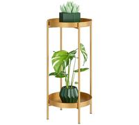 JANE EYRE Tall Metal Plant Stand Indoor Outdoor - 2 Tier Flower Pot Holder Table with Removable Trays, Rustproof Plant Display Shelf for Home Garden Patio Balcony Living Room, Gold