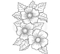 Jane Gill - Clear Singles - Scented Blooms - Stamp, transparent