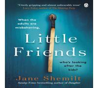 Jane Shemilt Little Friends Paperback Book Jane Shemilt Multicolor
