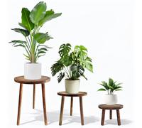 Janedream 3-Pack Wooden Plant Stands, Indoor Small Plant Stool Set, Multi-Purpose Single Plant Table for Living Room, Balcony, Office & Corner Display