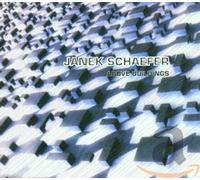 Janek Schaefer - ABOVE BUILDINGS