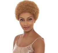 Janet Collection Janet Synthetic Afro Rosey Wig Rainbow