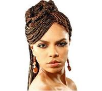 Janet Collection Janet Synthetic Super Jumbo Braid 1B