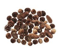Jangostor 40 Natural Pine Cones - Like a Peak Tower Christmas Tree Decorations for Home, Party, Crafts, Gift, Wedding, Winter Decoration