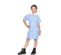 janisramone® Girls Gingham School Dress, Kids Short Sleeve Zip up Summer Dress, Check Print Pleated School Uniform Girls with Side Pockets and Hair Bobble, Ages 3-20 Sky Blue