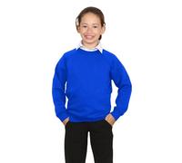 janisramone® School Jumpers for Boys and Girls, Kids Unisex Long Sleeve Plain Sweatshirt, Crew Neck Fleece Jumper, School Uniform Girls and Boys, Ages 2-40 Royal Blue