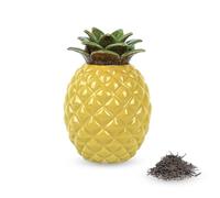 JANKOW Small Pineapple Ceramic Urns for Human Ashes, Pineapple Ceramic Cremation Urn Suitable for Humans or Pet Ashes a Great Urn to Preserve Your Memories
