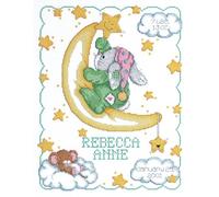 Janlynn 063-0102 1-Piece Crescent Moon Birth Announcement Counted Cross Stitch Kit - White, 11 x 14 inches