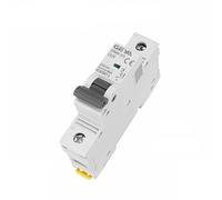 Janmobrian Circuit Breaker, Circuit Breakers DC MCB 80A 100A 125A 6KA 1P 250VDC Mini Circuit Breaker Din Rail DC Breakers GYM9-125(80A)