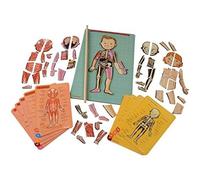 Janod Bodymagnet In 12 Languages Multicolor 12 Months-7 Years Kids