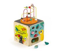Janod Multi-Activity Cube