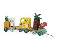 Janod Train Multicolor