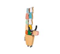 Janod Water Buffalo Balancing Game Educational Wooden Manipulation Toy