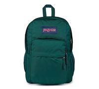 JanSport Big Day Pack Large Backpack, 15 Inch Laptop Compartment, 43.5 x 19 x 32.5 cm, Deep Juniper, Multicolor