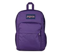 JanSport Big Plans Backpack, Grape Jelly