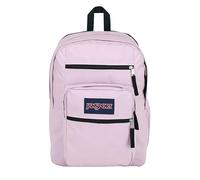 JanSport Big Student Large Backpack, 15 Inch Laptop Compartment, Pink Ice, One Size, Big Student