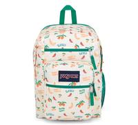 JanSport Big Student Large Backpack, 15 inch Laptop Compartment, Five A Day Cream (Multicolor)