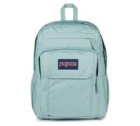 JanSport Union Pack Large Backpack, 15 Inch Laptop Compartment, 42 x 14 x 32 cm, Faded Sage, Green