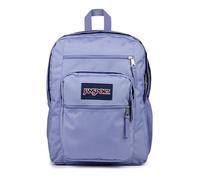 JANSPORT Unisex's Big Backpack, Lavender Ash, One Size