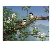 Januave Bird Flower Paint by Numbers for Adults,Children,Beginners,DIY Gift Arts Kits with Brushes and Acrylic Pigment Frameless,40x50cm