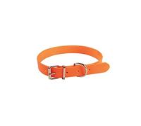 JANUEL - Dog Collar with PVC Strap - Length 45 cm x Width 25 mm - Orange