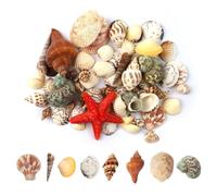 JAONLD Sea Shells Mixed Beach Seashells, 200g Natural Shells 2-8 CM and Plastic Starfish Ocean Seashells Large Shells Party Home Decor for DIY Crafts, Vase Fillers, Fish Tank Decor, Candle Making