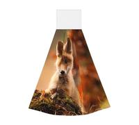 JaoXer Cute Baby Fox Coral Velvet Hand Wipes Hanging Towel - Quick Dry Cleaning Cloths for Kitchen, Bathroom, Camping & More