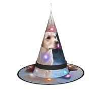 JaoXer Labrador Retrievers Witch Hat Halloween - Foldable Decorative Party Hat with LED Lights for Party, Masquerade, Carnival & Christmas