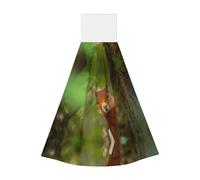 JaoXer Squirrel Coral Velvet Hand Wipes Hanging Towel - Quick Dry Cleaning Cloths for Kitchen, Bathroom, Camping & More