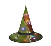 JaoXer Squirrel Witch Hat Halloween - Foldable Decorative Party Hat with LED Lights for Party, Masquerade, Carnival & Christmas