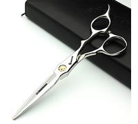 Japan 440C 5.5/6 inch Hair Professional Stylist Bearing Scissors - Salon Studio Modeling Tools - Thinning Scissors + Flat Shear
