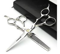 Japan 440C 5.5/6 inch Hair Professional Stylist Bearing Scissors - Salon Studio Modeling Tools - Thinning Scissors (6 inches, 2 Pieces)