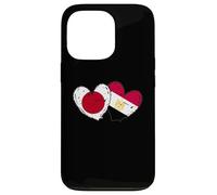 Japan Egypt Heart Flags Japanese Egyptian Love Pride Case for iPhone 13 Pro